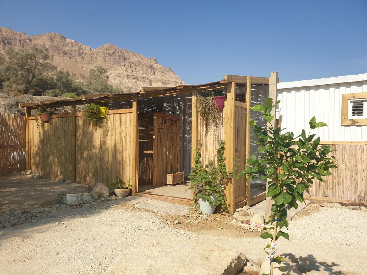Ein Gedi Caravan By Dory Caravan Exterior foto